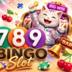 lucky cat wins big on 789Bingo slot