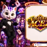 Lucky Ace 2 themed lucky cat