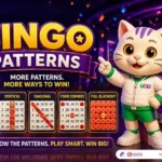 lucky cat on 789Bingo bingo patterns