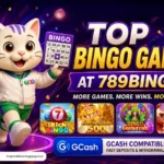 lucky cat on 789Bingo top bingo games