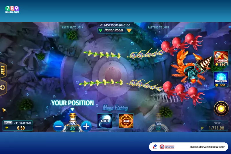 Mega Fishing honor room