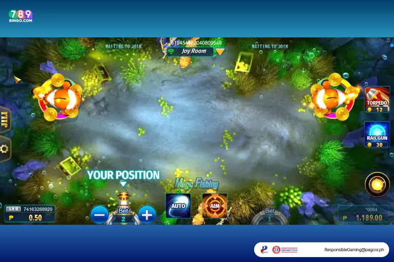 Mega Fishing joy room