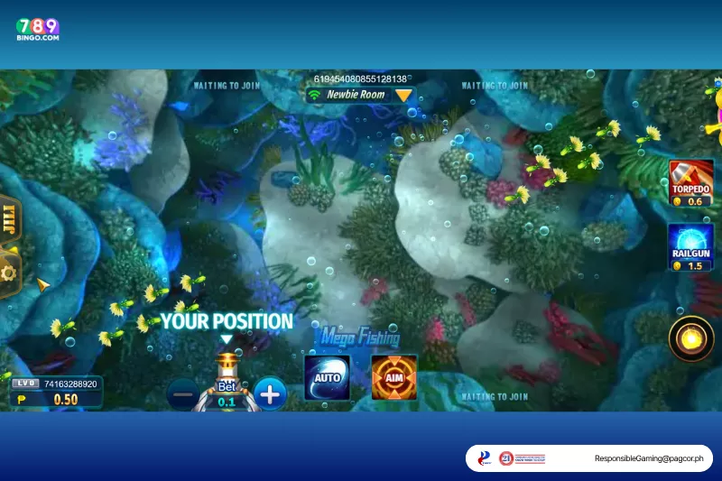 Mega Fishing newbie room