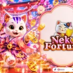 Neko Fortune themed lucky cat