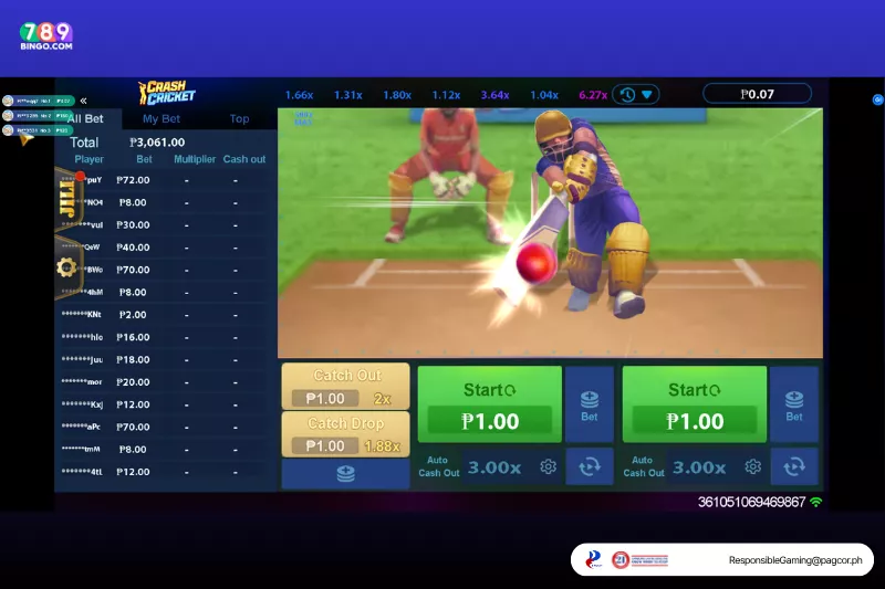 Crash Cricket demo game interface